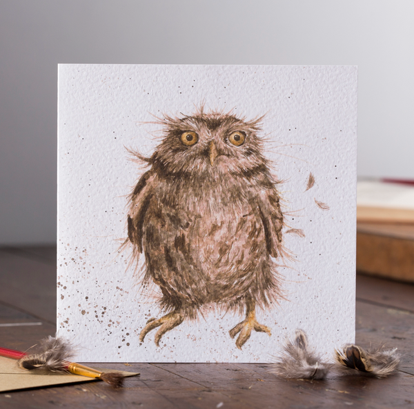 Greetings Card Wrendale Designs - What A Hoot