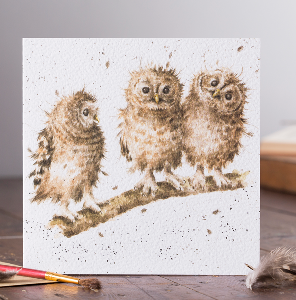 Greetings Card Wrendale Designs - You First!