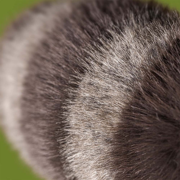 Jellycat Trixiewoo Racoon