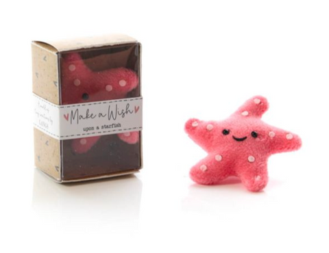 World in a Matchbox Starfish