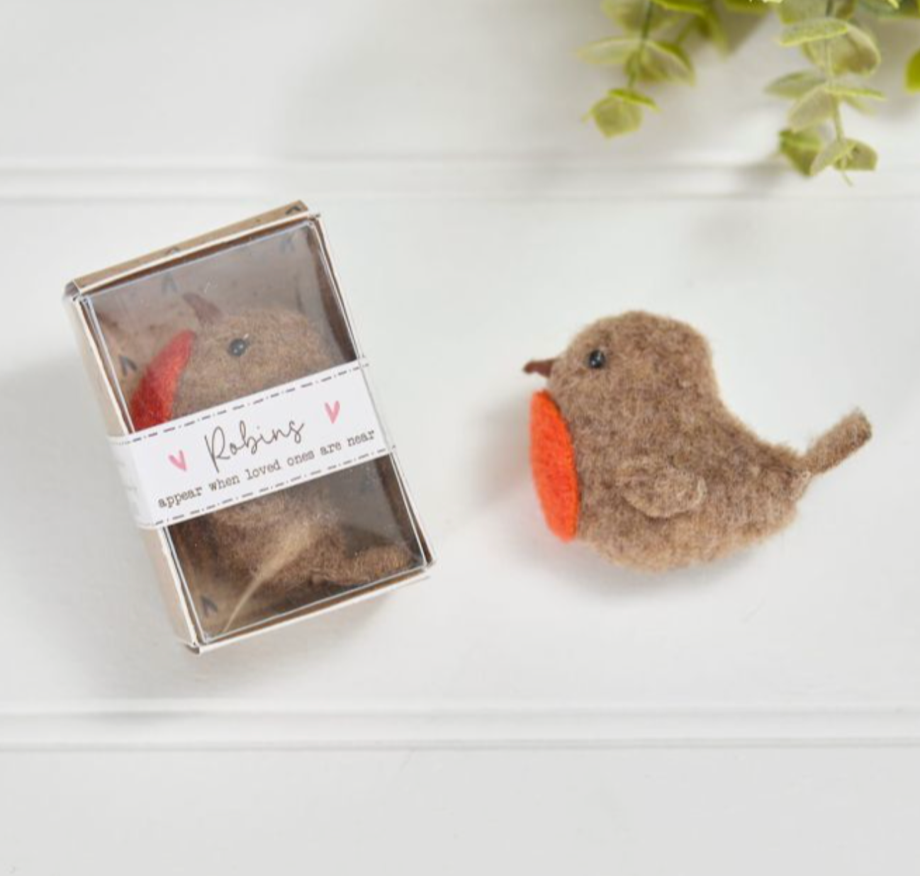 World in Matchbox Robin