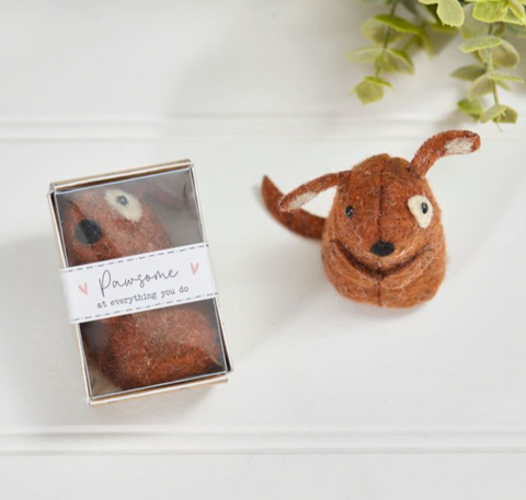 World in Matchbox Dog