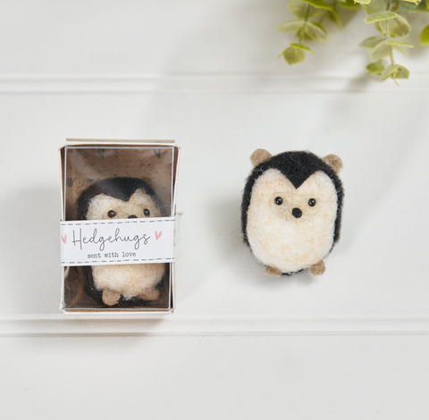 World in Matchbox Hedgehog