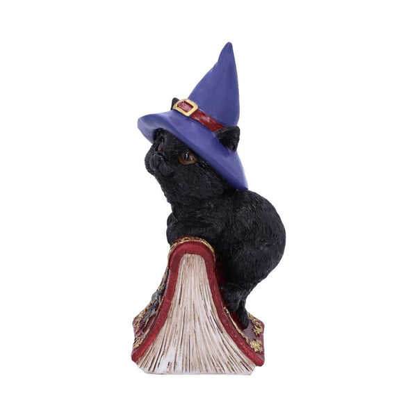 Hocus Small Witches Familiar Black Cat and Spellbook Figurine