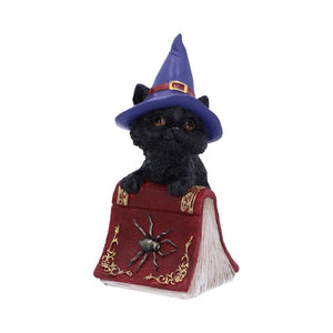Hocus Small Witches Familiar Black Cat and Spellbook Figurine