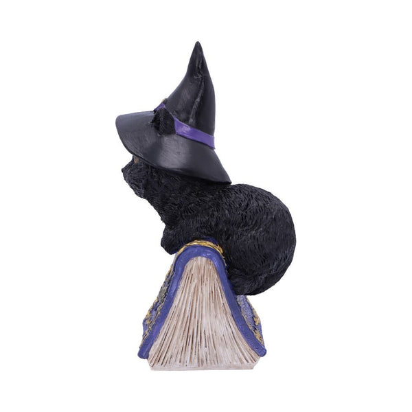 Pocus Small Witches Familiar Black Cat and Spellbook Figurine