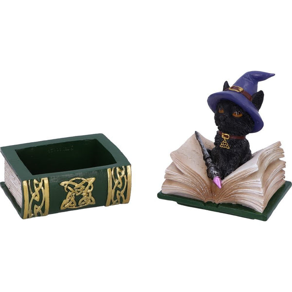 Binx Small Witches Familiar Black Cat and Spellbook Figurine Box
