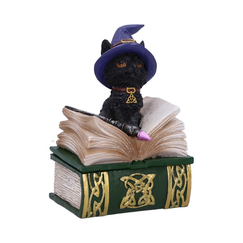 Binx Small Witches Familiar Black Cat and Spellbook Figurine Box