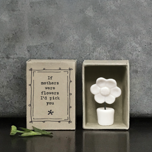 East of India Matchbox Flower - "If Mothers Were Flowers....."