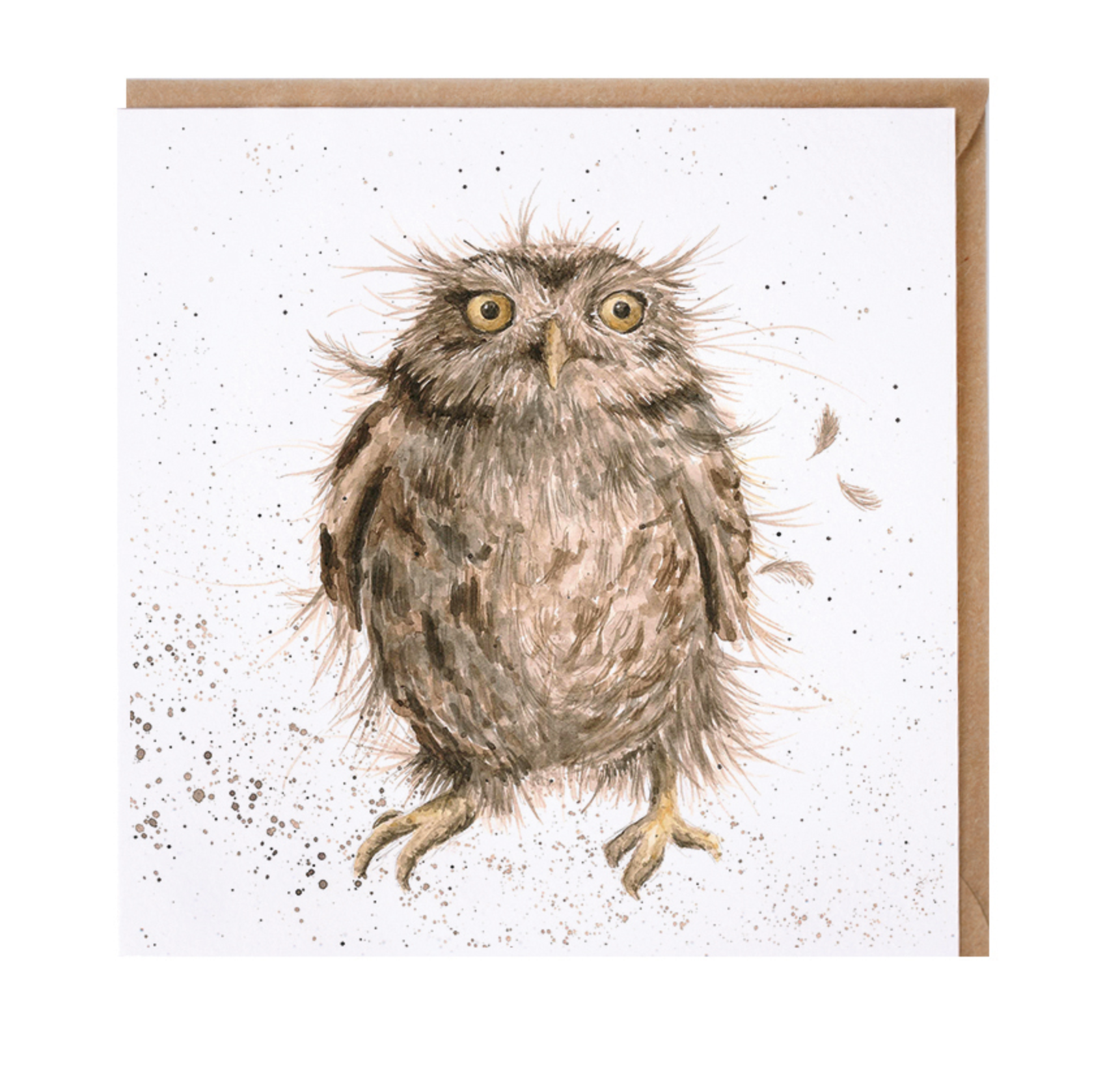 Greetings Card Wrendale Designs - What A Hoot