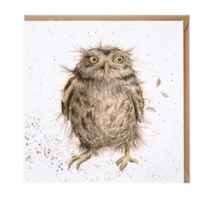Greetings Card Wrendale Designs - What A Hoot