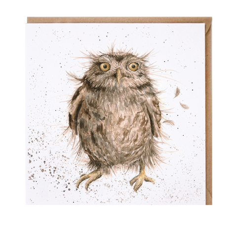Greetings Card Wrendale Designs - What A Hoot