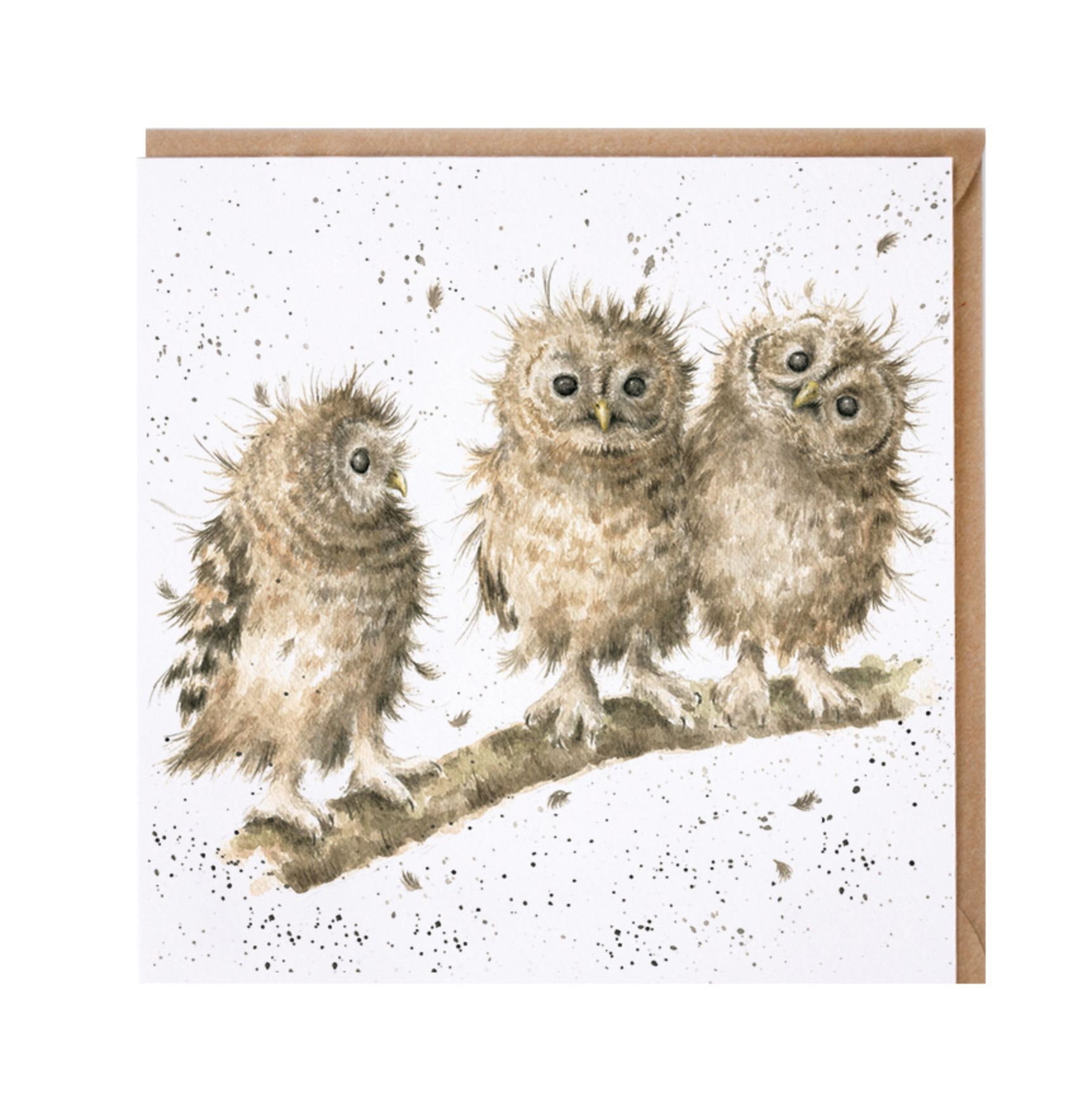 Greetings Card Wrendale Designs - You First!