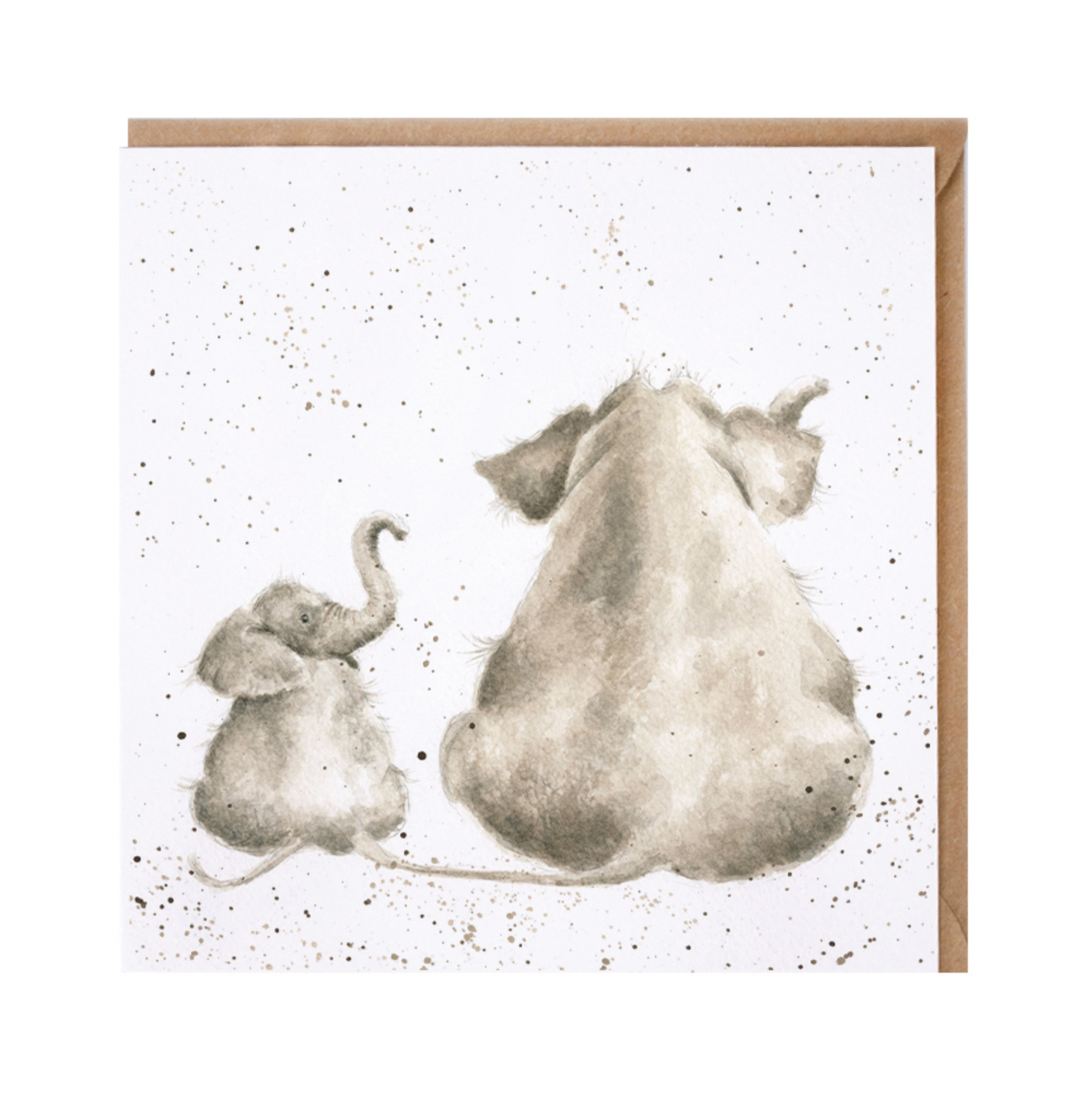 Greetings Card Wrendale Designs - Role Model