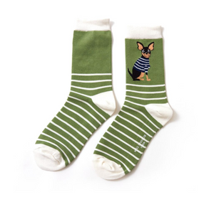 Miss Sparrow Bamboo Ladies Socks - Chihuahua Stripes Green